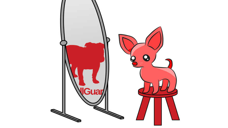 Chihuahua looking into a mirror and seeing a bulldog (BullGuard logo) there