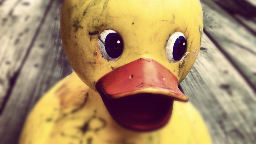 A very dirty and battered rubber duck