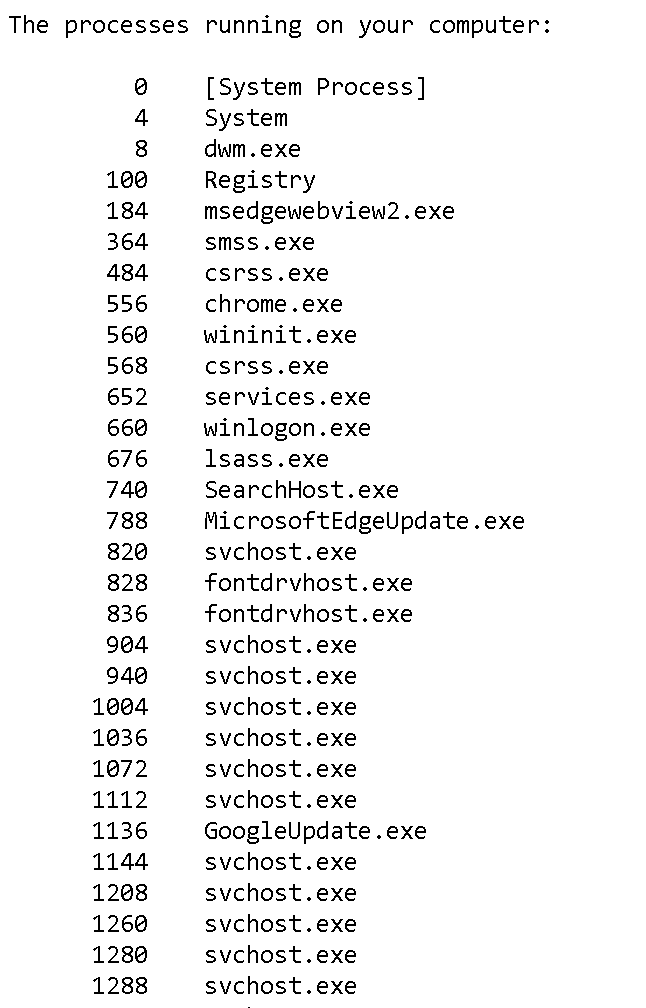 The processes running on your computer, followed by a list of process names and identifiers, e.g. 184 msedgewebview2.exe
